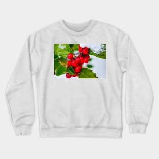 Holly Jolly 3 Crewneck Sweatshirt